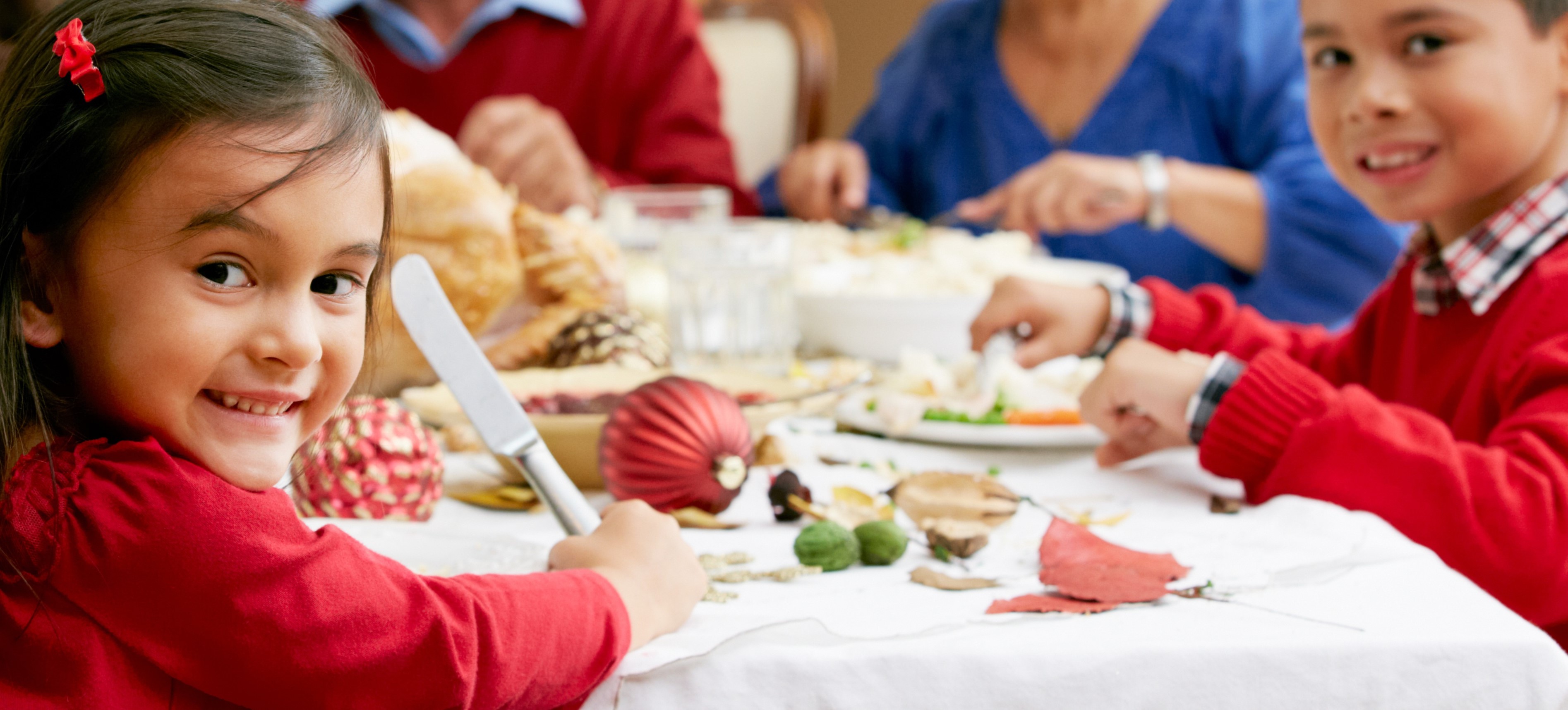 School holiday meal scheme at Christmas