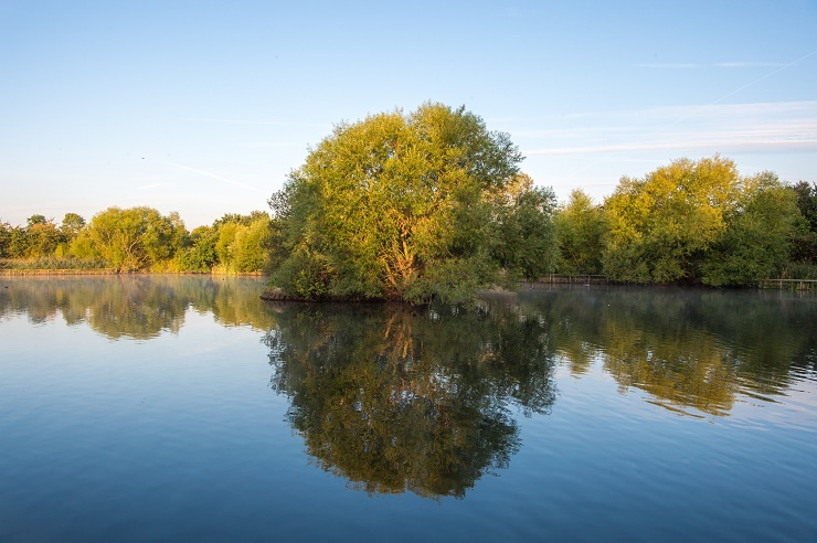 Parks are the crown jewels of borough