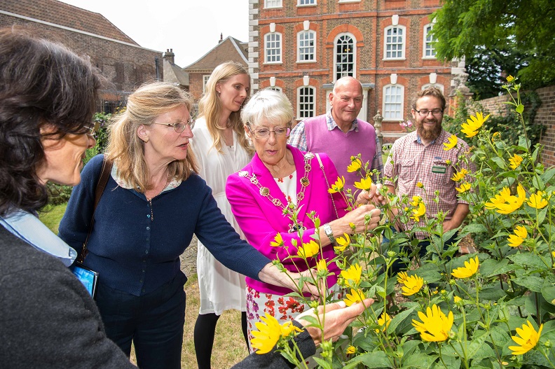 Judges critique floral displays at Rainham Hall