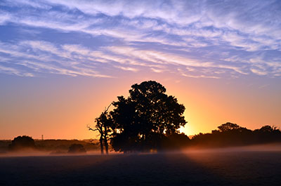 dagnam park sunrise 400px