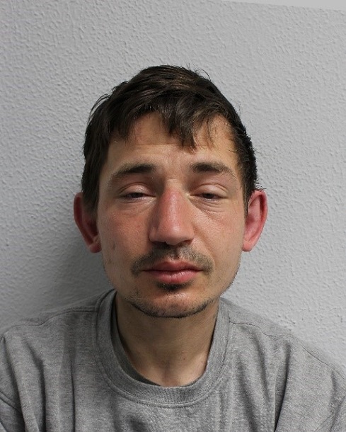 Burglar jailed