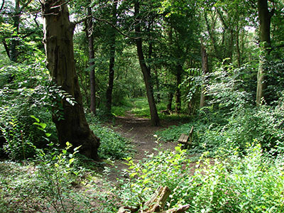 havering country park 400px